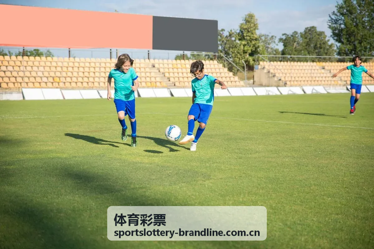 体育彩票公益责任与公共体育场景